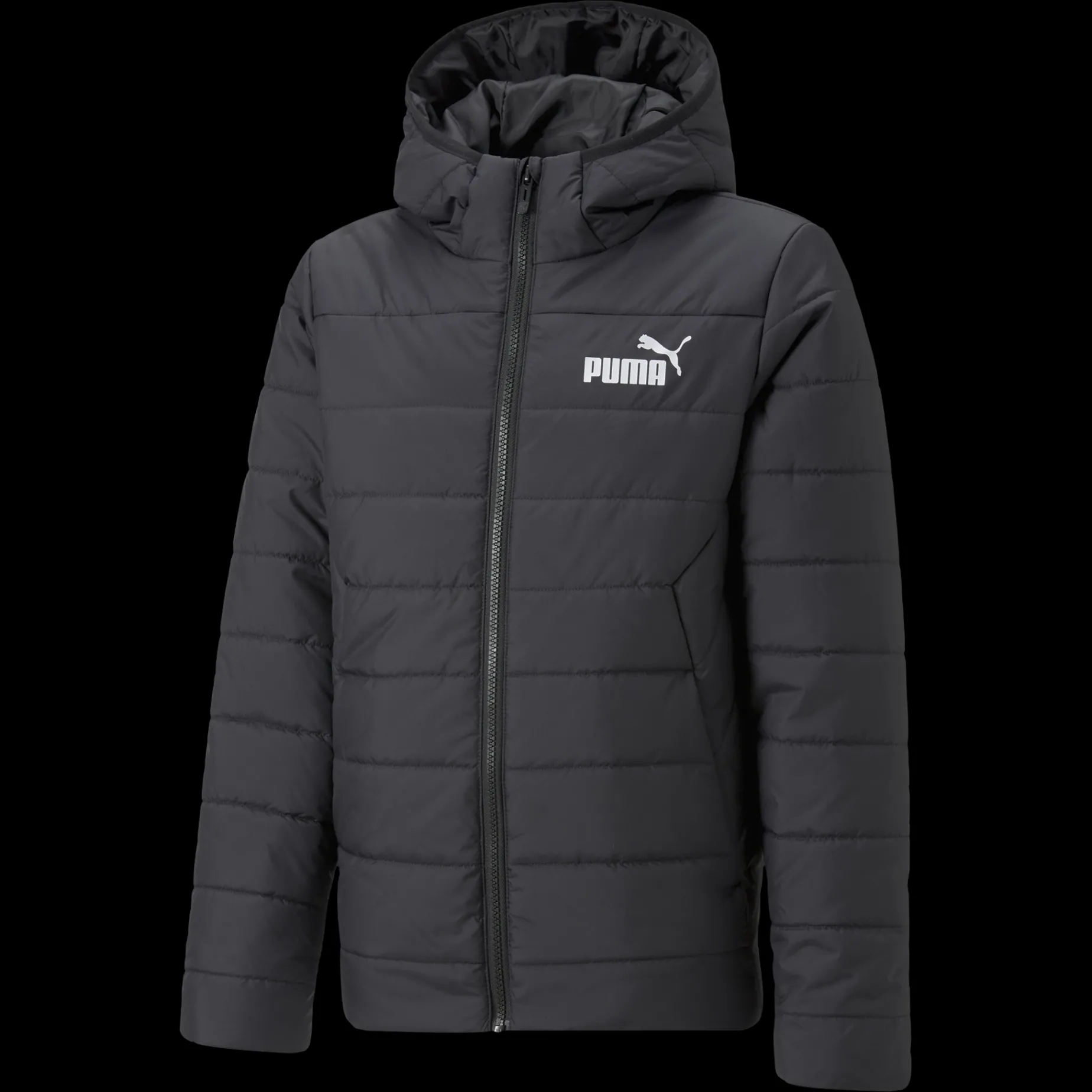 Ess Hooded Padded Jacket, isolasjonsjakke junior - Fritidsjakke - Ess Hooded Padded Jacket, isolasjonsjakke junior