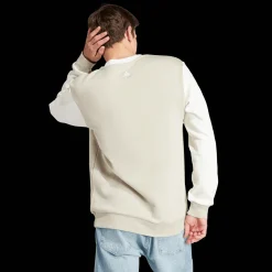 Essential Fleece Big Logo Sweatshirt, collegegenser, herre - Collegegenser - Essential Fleece Big Logo Sweatshirt, collegegenser, herre