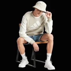 Essential Fleece Big Logo Sweatshirt, collegegenser, herre - Collegegenser - Essential Fleece Big Logo Sweatshirt, collegegenser, herre