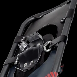 Journey 36, truge - Truger - Journey 36, truge