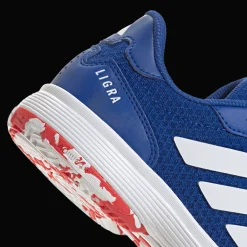 Ligra 8, hallsko, barn - Hallsko - Ligra 8, hallsko, barn