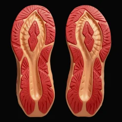 Novablast 5 Gs, løpesko, barn, junior - Løpesko Barn & Junior - Novablast 5 Gs, løpesko, barn, junior