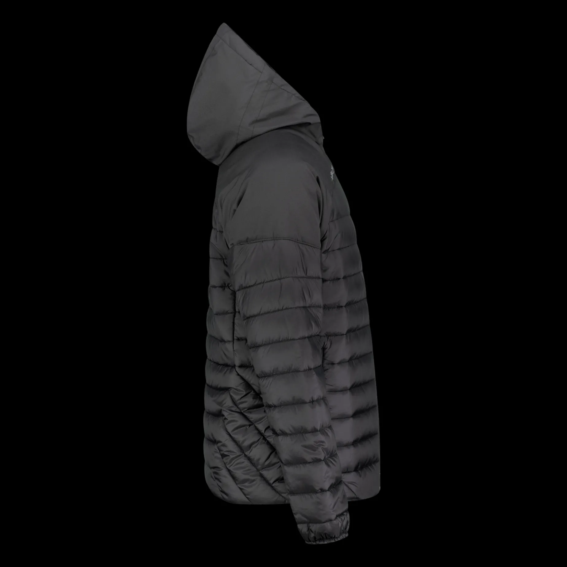 S24 Bauer Team Puffer Jacket 24/25, jakke, senior - T-Shirts & Shorts - S24 Bauer Team Puffer Jacket 24/25, jakke, senior