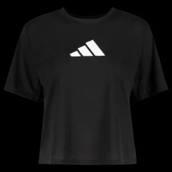 Train Essentials Big Logo Performance Training T-Shirt, t-skjorte, dame - Trenings- T-Skjorte & Topper - Train Essentials Big Logo Performance Training T-Shirt, t-skjorte, dame