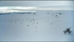 Xplore BC Binding Offtrack 24/25, fjellskibinding, unisex - Langrennsbinding - Xplore BC Binding Offtrack 24/25, fjellskibinding, unisex