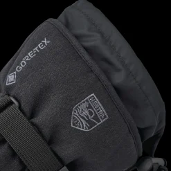 Alpine Mitten Gore Tex perform 24/25, alpinvott unisex - Skihansker - Alpine Mitten Gore Tex perform 24/25, alpinvott unisex