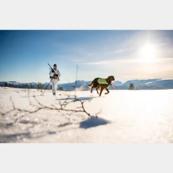 BC Skis Kongsvold Hunter 24/25, fjell- og jaktski uten stålkant unisex - Fjellski - BC Skis Kongsvold Hunter 24/25, fjell- og jaktski uten stålkant unisex