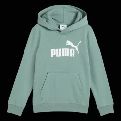 Essential No. 1 Logo Hoodie TR PS, hettegenser, barn - Collegegenser & Hettegenser - Essential No. 1 Logo Hoodie TR PS, hettegenser, barn