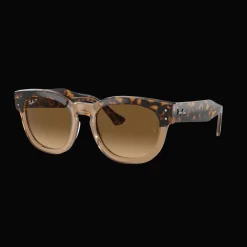 Havana On Transparent, solbriller, dame - Fritidsbriller - Havana On Transparent, solbriller, dame