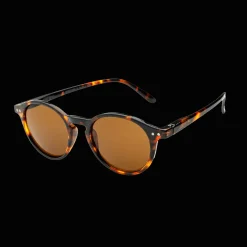 017 Waye Demibrown W Brown Lens, solbriller, unisex - Fritidsbriller - 017 Waye Demibrown W Brown Lens, solbriller, unisex